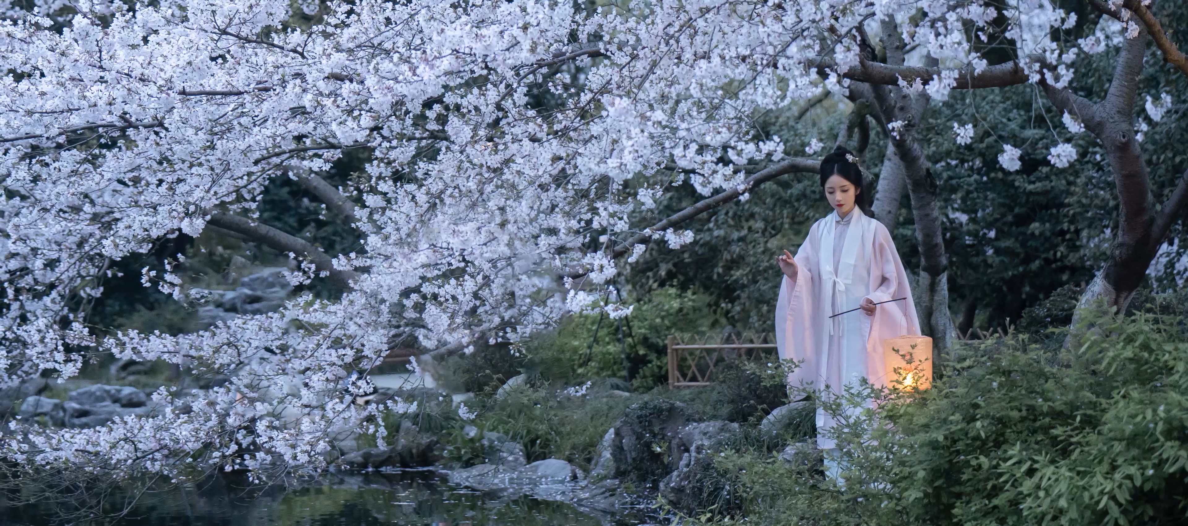 librewolf浏览器推荐